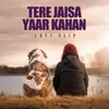 About Tere Jaisa Yaar Kahan Lofi Flip Song