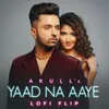 About Yaad Na Aaye Lofi Flip Song