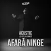 About Afară ninge Acustic Song