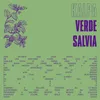 About VERDE SALVIA Song