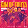 Gin De Fruta Remix Baile do Ed