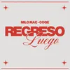 About Regreso Luego Song