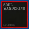 About Soul Wandering Song