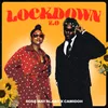 About Lockdown 2.0 Song