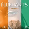 About Éléphants Song