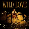 About Wild Love Song