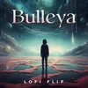 About Bulleya Lofi Flip Song