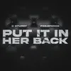 About Put It In Her Back Song