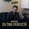 About Ca tine perfectă Song