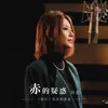 赤的疑惑 電視劇《繁花》歌曲