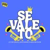 About Se vale to Song