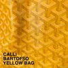 About Yellow Bag Song