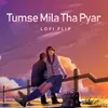 About Tumse Mila Tha Pyar Lofi Flip Song