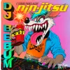 About DJ Bebum Song