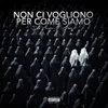 About Non ci vogliono per come siamo Song