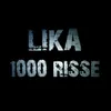 1000 Risse