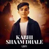 About Kabhi Shaam Dhale Lofi Flip Song
