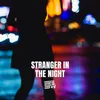 About Stranger in the night Song