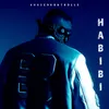 About HABIBI Song