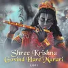 About Shree Krishna Govind Hare Murari Lofi Song