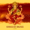 Shreem Brzee Lofi