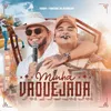 About Minha Vaquejada Ao Vivo Song