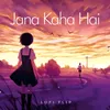 About Jana Kaha Hai Lofi Flip Song