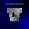 About Shadows Of The Night GIGI DAG Mix Song