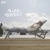 About ALLES PERFEKT Song