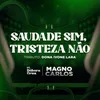 About Saudade Sim, Tristeza Não - Tributo A Dona Ivone Lara Song