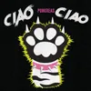 About Ciao Ciao Song