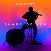 Shape Of You David Garrett Edition