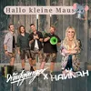 About Hallo kleine Maus Song