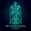 About Sri Venkatesha Stotram Lofi Song