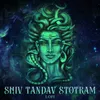 Shiv Tandav Stotram Lofi