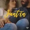 About Juntin Song