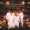 About Peregrina Song