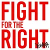 About Fight For The Right Song