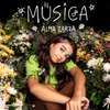 About Música Song