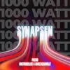 About Synapsen 1000 Watt Song