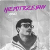 About Niepotrzebny Song