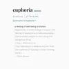 About euphoria Song