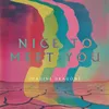 About Nice to Meet You Song