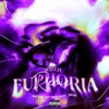 About Euphoria Remix Song