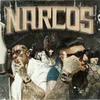 About Narcos Song
