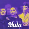 About Mula Song