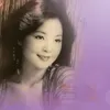 雪中情 Live In Hong Kong / 1982