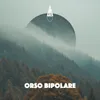 About Orso bipolare Song