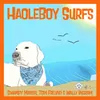 About HaoleBoy Surfs Song