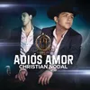 About Adiós Amor Song